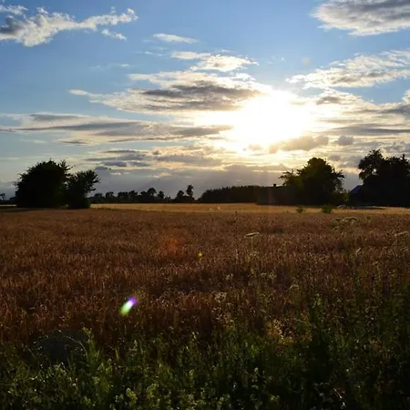 Kampinówka Tulowice
