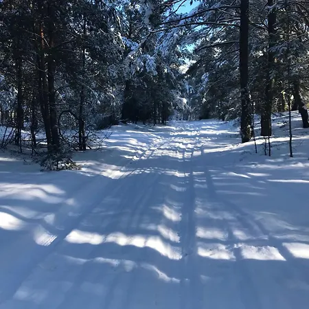 Kampinówka Domek alpejski *