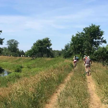 Kampinówka Domek alpejski